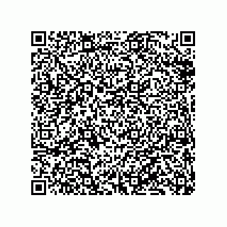 vCard 79833239901