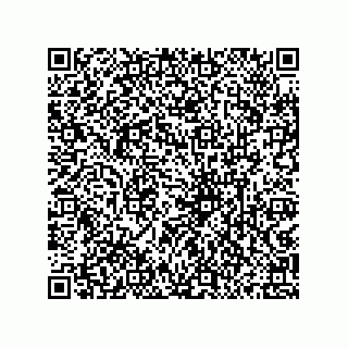 vCard 79833239910
