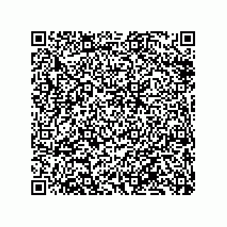 vCard 79833239980