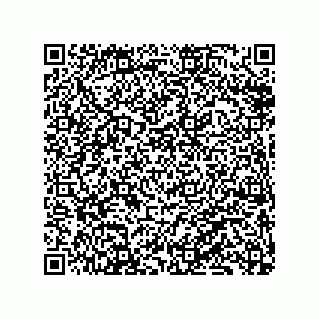 vCard 79833240003