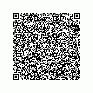 vCard 79833240011