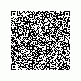 vCard 79833240013