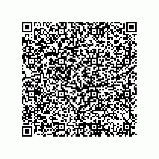 vCard 79833240018