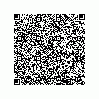 vCard 79833240019