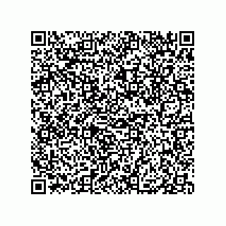vCard 79833240020