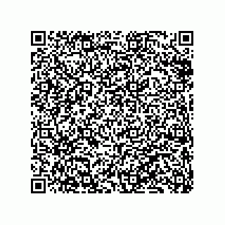 vCard 79833240039