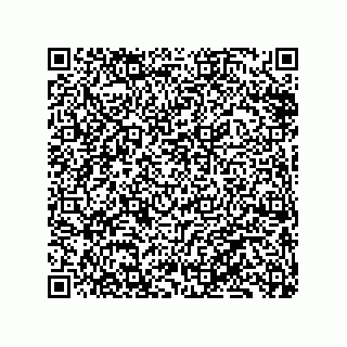 vCard 79833240051