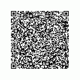vCard 79833240069
