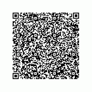 vCard 79833240070