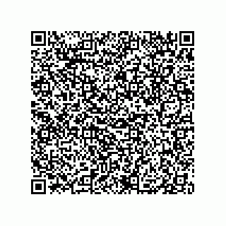 vCard 79833240078
