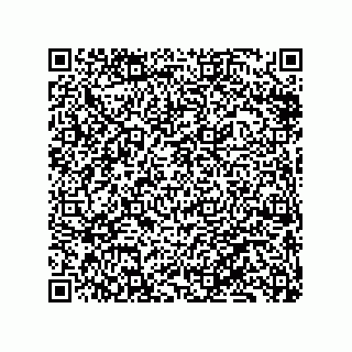 vCard 79833240091