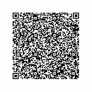 vCard 79833240100