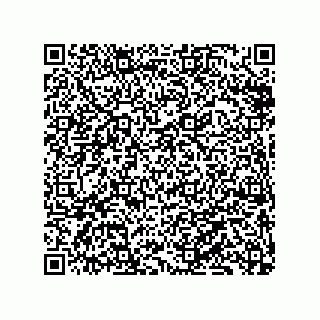 vCard 79833240133
