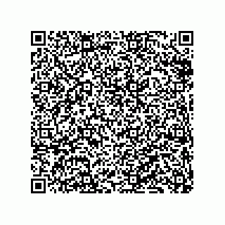 vCard 79833240137