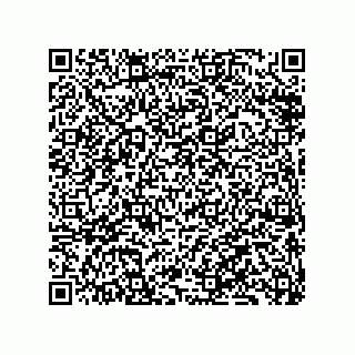 vCard 79833240149