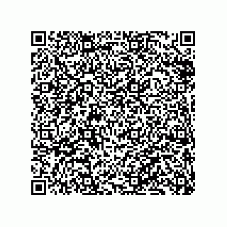 vCard 79833240155