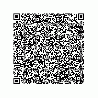 vCard 79833240174