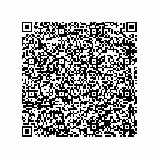 vCard 79833240180