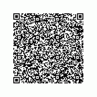 vCard 79833240200