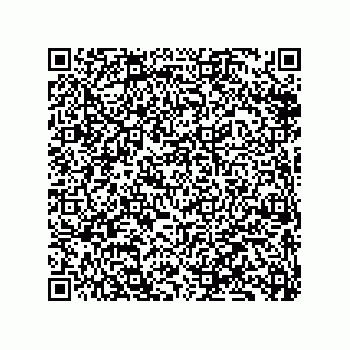 vCard 79833240209