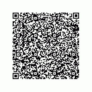 vCard 79833240217