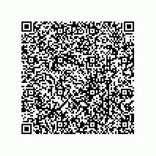 vCard 79833240249