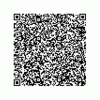 vCard 79833240270