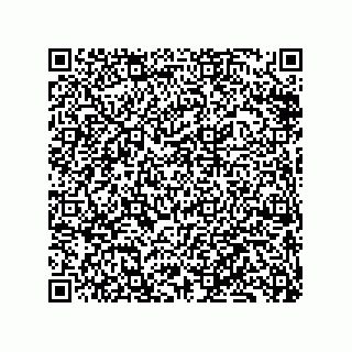 vCard 79833240275