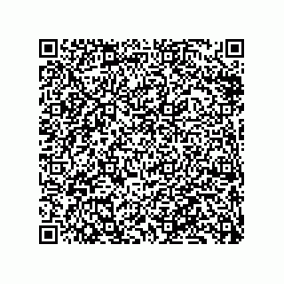 vCard 79833240294