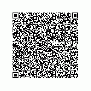 vCard 79833240295