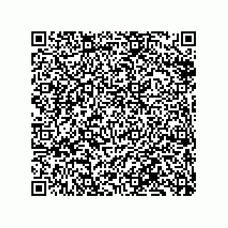vCard 79833240300