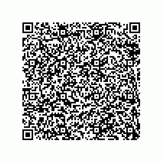 vCard 79833240304