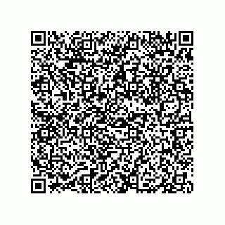 vCard 79833240307