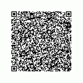 vCard 79833240315