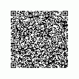 vCard 79833240321