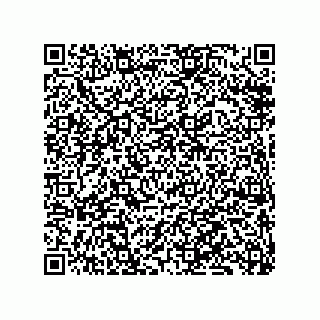 vCard 79833240369