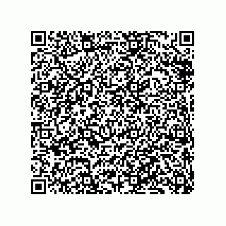 vCard 79833240375