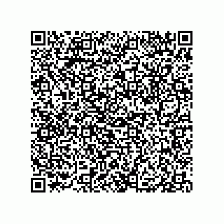 vCard 79833240383
