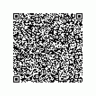 vCard 79833240395