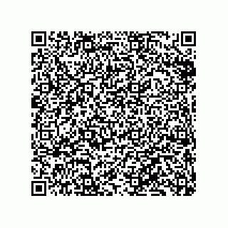 vCard 79833240411