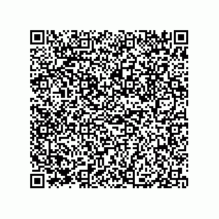 vCard 79833240415