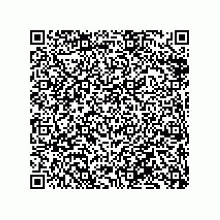vCard 79833240500