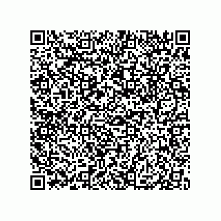 vCard 79833240524