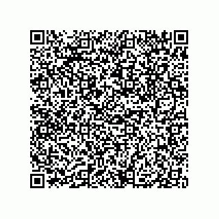 vCard 79833240538