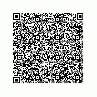 vCard 79833240539