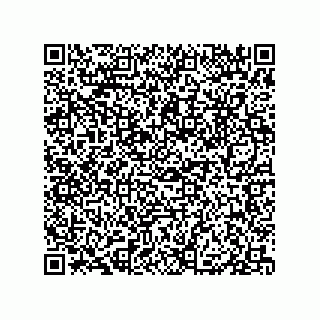 vCard 79833240581