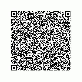 vCard 79833240661
