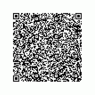 vCard 79833240667
