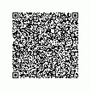 vCard 79833240704