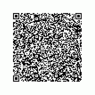 vCard 79833240802